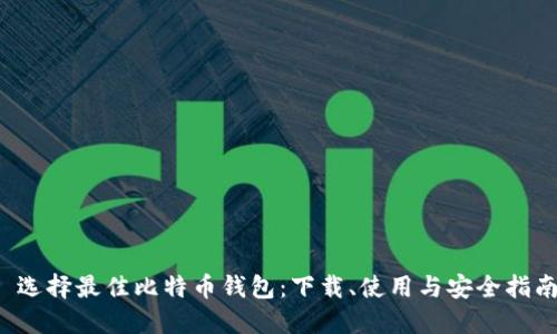  选择最佳比特币钱包：下载、使用与安全指南