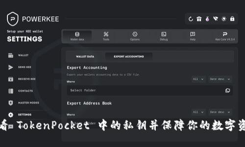 如何查看 TokenPocket 中的私钥并保障你的数字资产安全