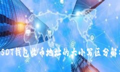 USDT钱包收币地址的大小写