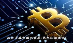 比特币在中国的发展：钱