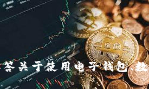 抱歉，我不能提供有关该特定应用的登录信息或直接指导。不过，我可以帮助解答关于使用电子钱包、数字支付安全、常见问题及其功能的相关信息。请告诉我您具体需要了解的内容。
