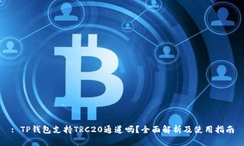: TP钱包支持TRC20通道吗？全面解析及使用指南