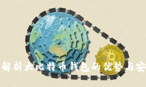 全面解析大比特币钱包的优势与安全性