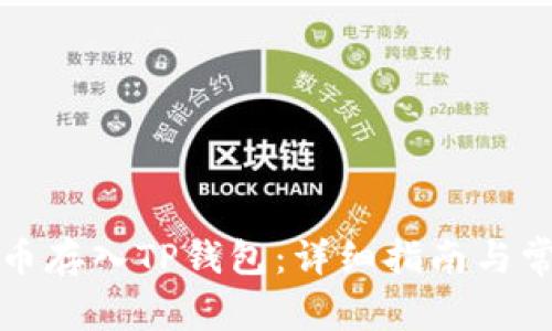 如何将狗狗币存入TP钱包：详细指南与常见问题解析