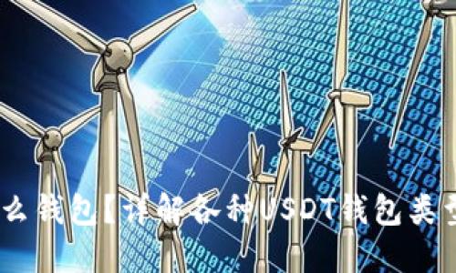 USDT使用什么钱包？详解各种USDT钱包类型及选择技巧
