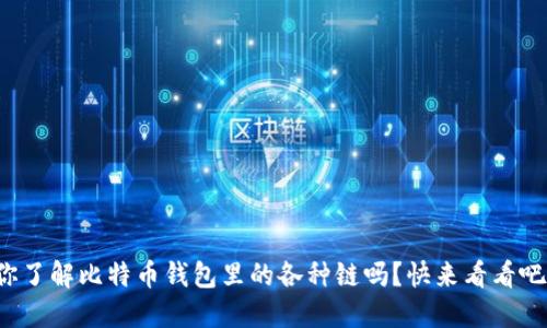 你了解比特币钱包里的各种链吗？快来看看吧！