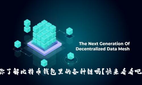你了解比特币钱包里的各种链吗？快来看看吧！