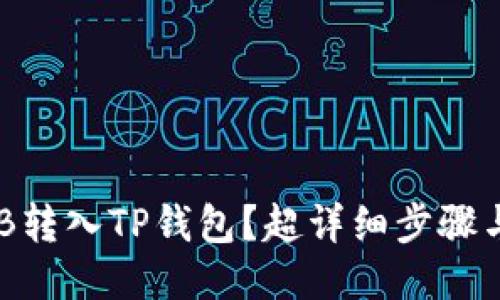 如何将SHIB转入TP钱包？超详细步骤与技巧分享！