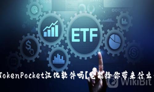 你知道TokenPocket汉化软件吗？它能给你带来什么便利呢？