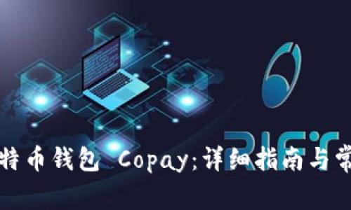 如何搭建比特币钱包 Copay：详细指南与常见问题解答