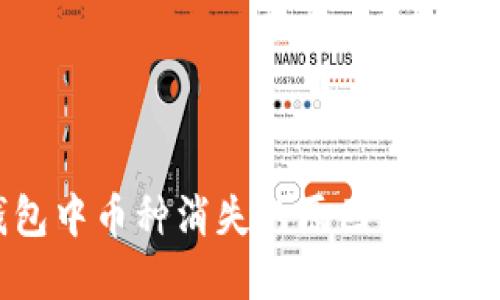 TP钱包中币种消失的原因及解决方法