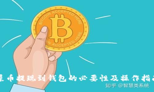 屎币提现到钱包的必要性及操作指南