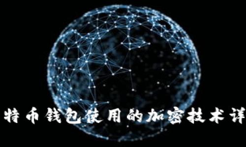 比特币钱包使用的加密技术详解