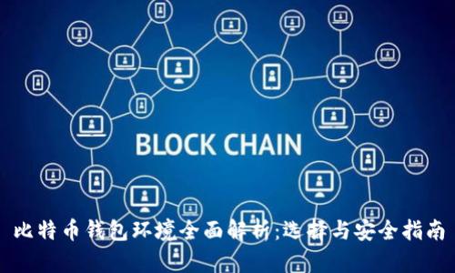 比特币钱包环境全面解析：选择与安全指南