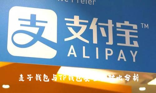 麦子钱包与TP钱包安全性对比分析