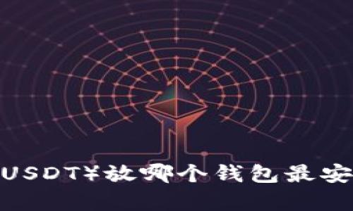 泰达币（USDT）放哪个钱包最安全可靠？