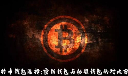 
比特币钱包选择：密钥钱包与标准钱包的对比分析