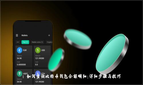 : 如何查询比特币钱包余额明细：详细步骤与技巧