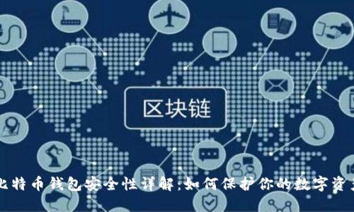 比特币钱包安全性详解：如何保护你的数字资产
