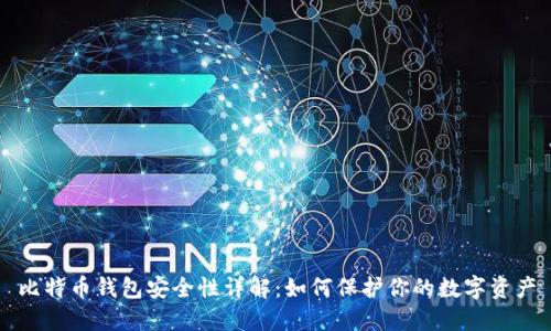比特币钱包安全性详解：如何保护你的数字资产
