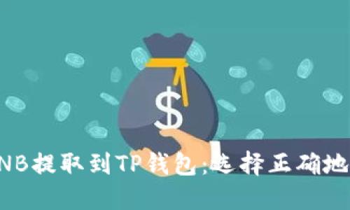 如何将BNB提取到TP钱包：选择正确地址的指南