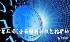 TP钱包挖矿能玩吗？全面解析TP钱包挖矿的前景与