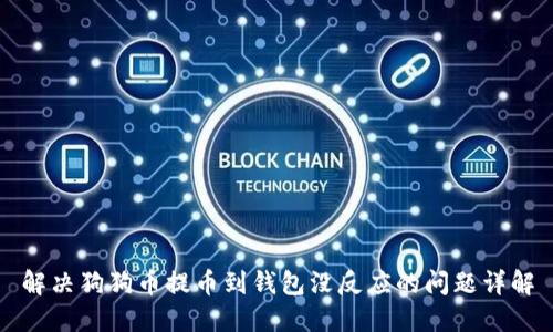 解决狗狗币提币到钱包没反应的问题详解