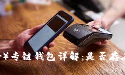 泰达币（Tether）专链钱包详解：是否存在以及如何使用