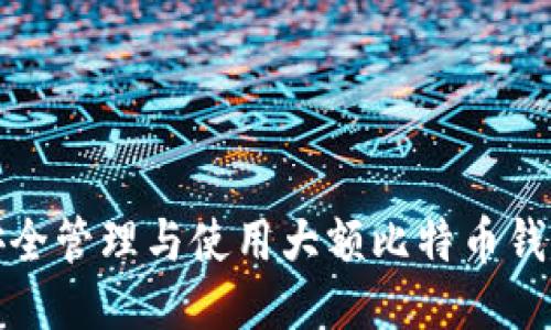 如何安全管理与使用大额比特币钱包地址