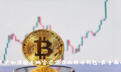 手机用户如何安全地官方下载比特币钱包：最全面的指南