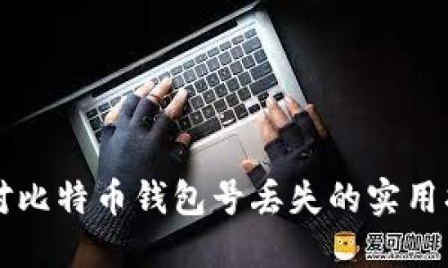 应对比特币钱包号丢失的实用指南