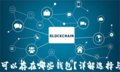 USDT币可以存在哪些钱包？详解选择与安全性