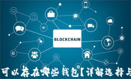 
USDT币可以存在哪些钱包？详解选择与安全性