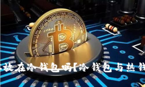 USDT币可以存放在冷钱包吗？冷钱包与热钱包的区别解析