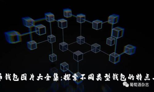 比特币钱包图片大全集：探索不同类型钱包的特点与选择